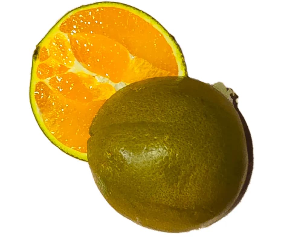 Czekoladowa pomarańcza gdzie kupić? Sprawdź najlepsze oferty!